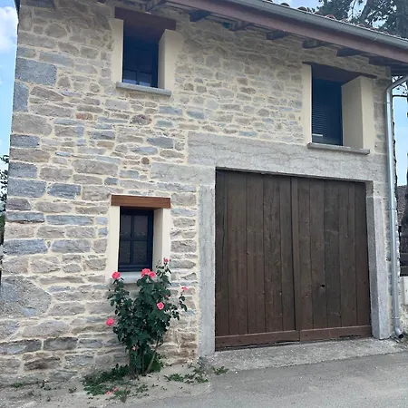 Picholine * Saint-Sorlin-en-Bugey